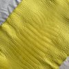 Matte Yellow Alligator 3