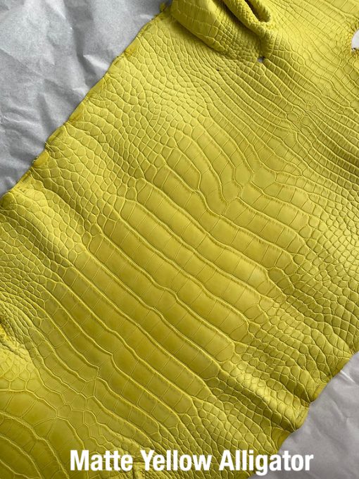 Matte Yellow Alligator 3