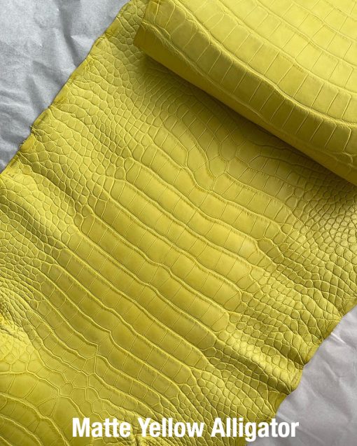 Matte Yellow Alligator
