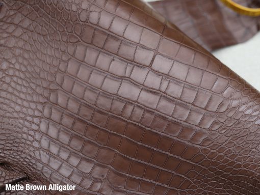 Matter brown alligator 1