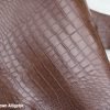 Matter brown alligator