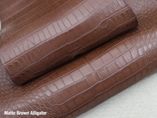 Matter brown alligator 3