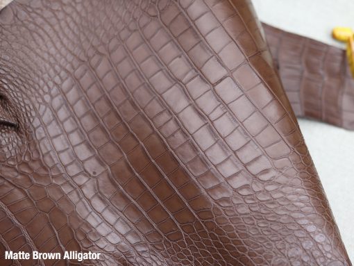 Matter brown alligator