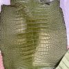 Millennium Olive Alligator 1