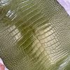 Millennium Olive Alligator