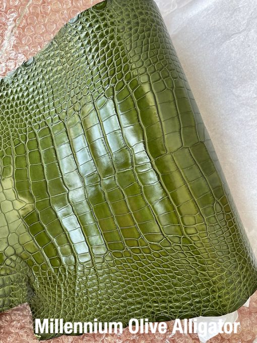 Millennium Olive Alligator 2