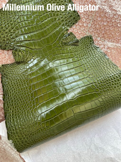 Millennium Olive Alligator 3