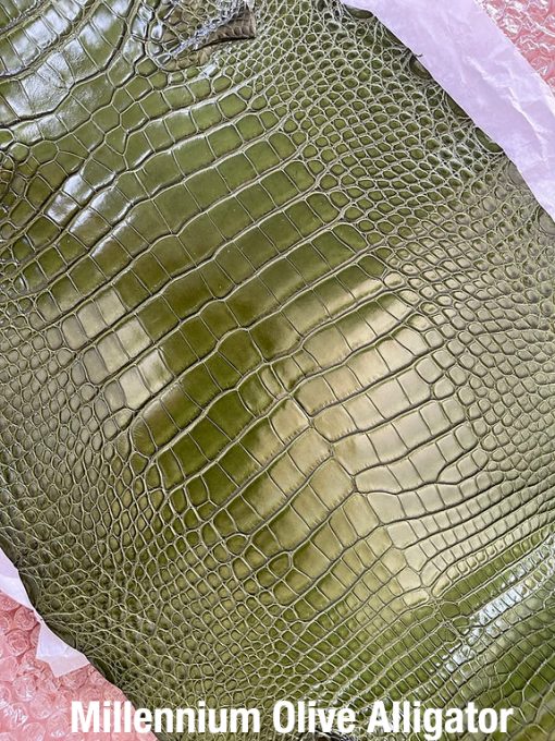 Millennium Olive Alligator