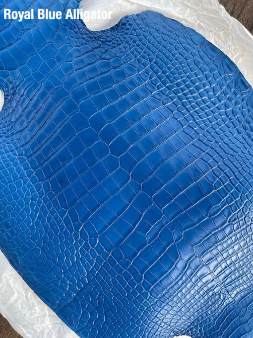 Royal Blue 12