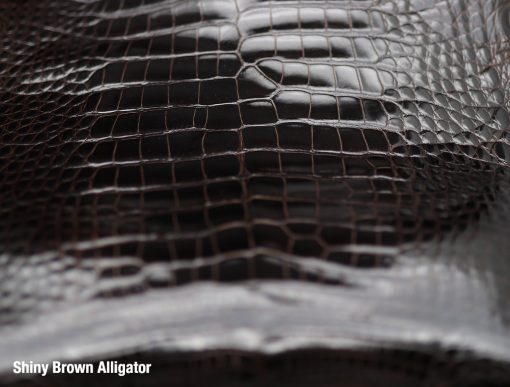 Shiny Brown Alligator 4