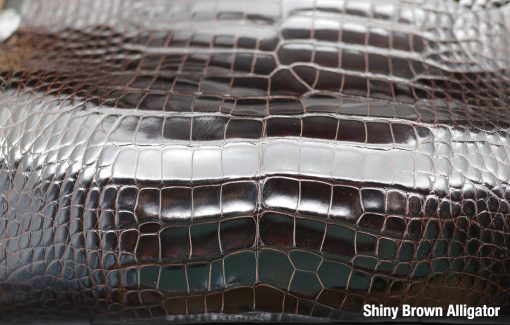 Shiny Brown Alligator