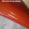 Shiny Dark Orange Alligator 1
