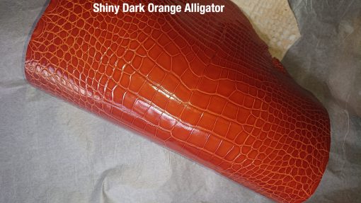 Shiny Dark Orange Alligator 1