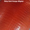 Shiny Dark Orange Alligator
