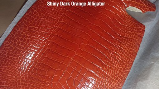 Shiny Dark Orange Alligator