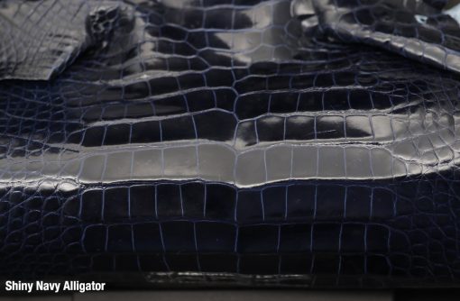 Shiny Navy 1