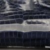 Shiny Navy 2