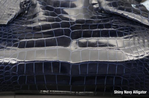 Shiny Navy 2