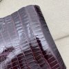 Shiny Purple Alligator 1
