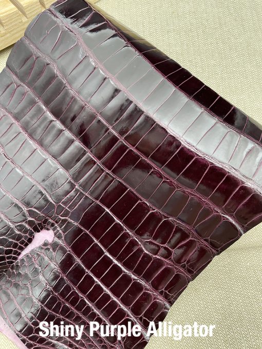 Shiny Purple Alligator 2