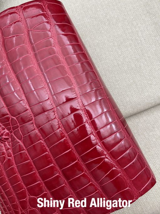 Shiny Red Alligator 1