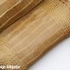 Tan Beige Alligator 1