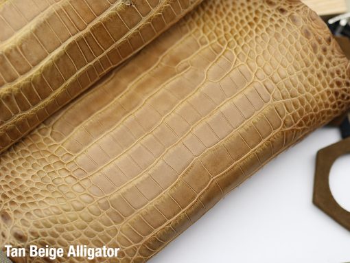Tan Beige Alligator 1