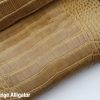 Tan Beige Alligator