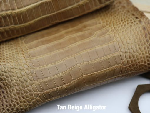 Tan Beige Alligator 2