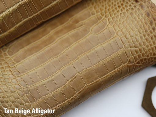Tan Beige Alligator