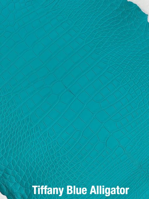 Tiffany Blue Alligator 1