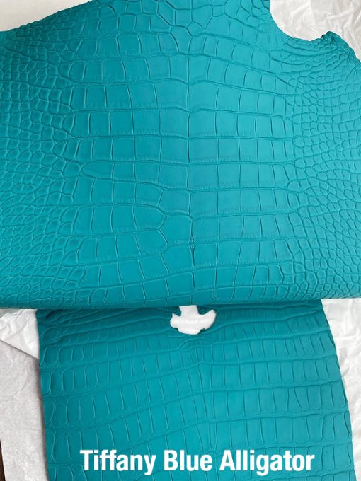 Tiffany Blue Alligator