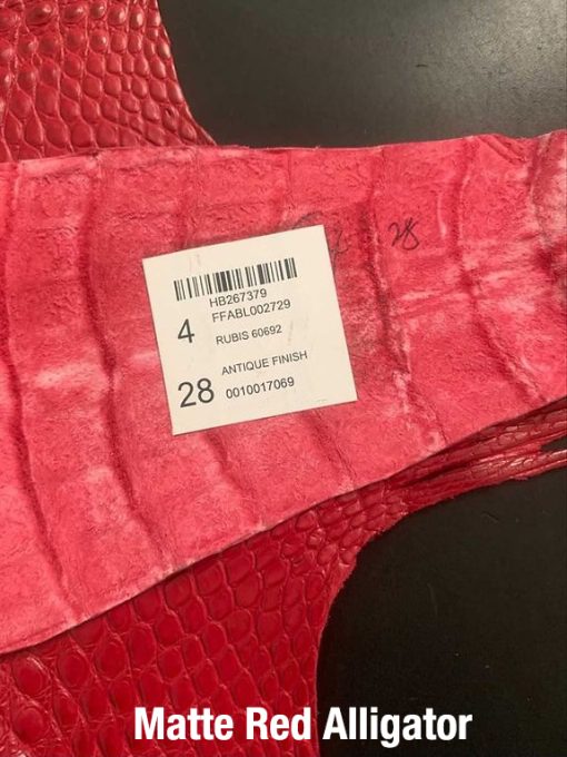 matter red alligator 1