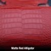 matter red alligator