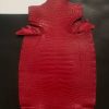 matter red alligator 12