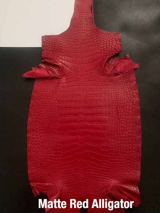 matter red alligator 12
