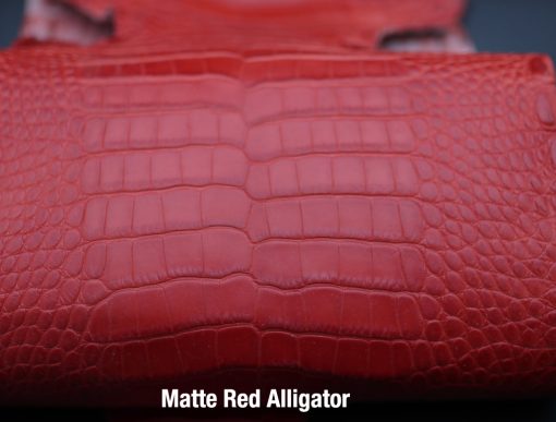 matter red alligator